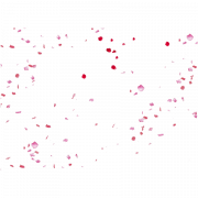 Flower Petals PNG High Quality Image