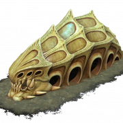 Fossils PNG