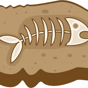 Fossils PNG File