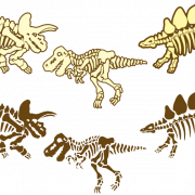 Fossils PNG Free Image