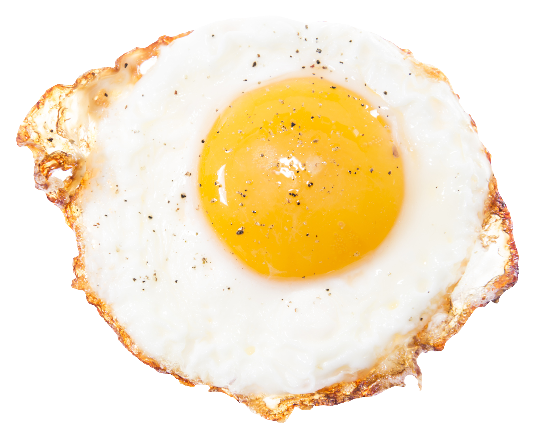 Fried Egg PNG Télécharger limage