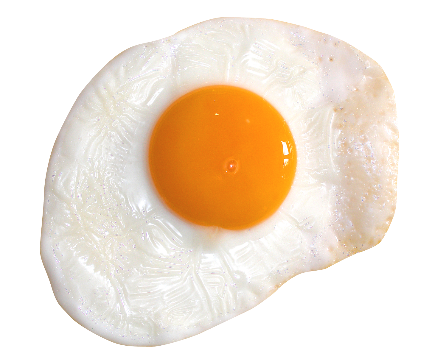 Fried Egg PNG File Download Free
