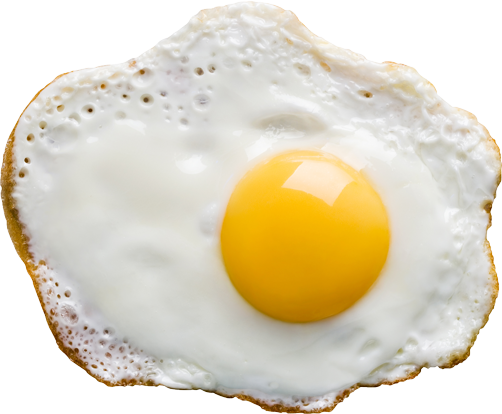 Fried Egg PNG Image File