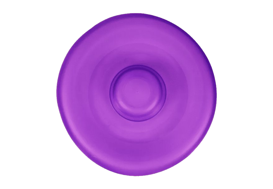 Frisbee PNG Picture