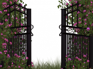 Garden PNG High Quality Image