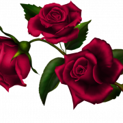 Gothic Rose PNG Clipart