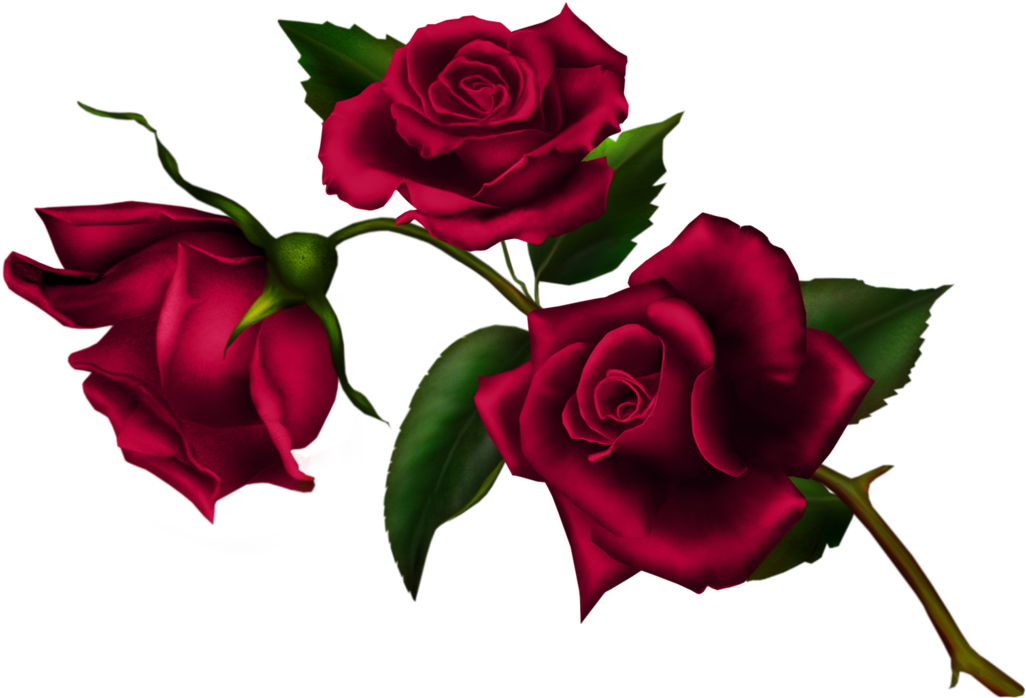 Готическая роза PNG Clipart