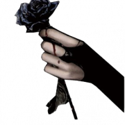 Готическая роза PNG картина