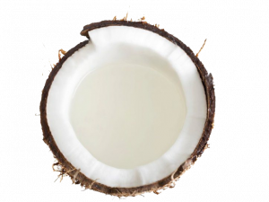 Grated Coconut PNG Free Download