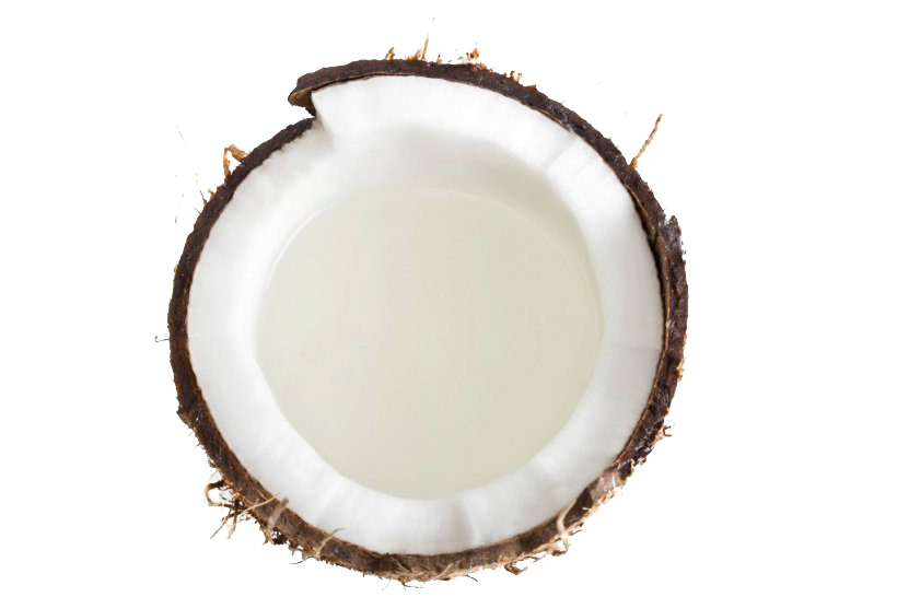 Grated Coconut PNG Free Download
