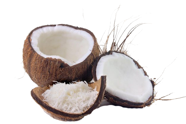 Grated Coconut PNG HD Image