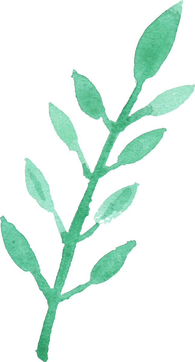 Green Leaf PNG File