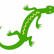 PNG de lagarto verde
