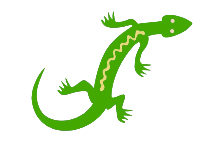 Green Lizard PNG