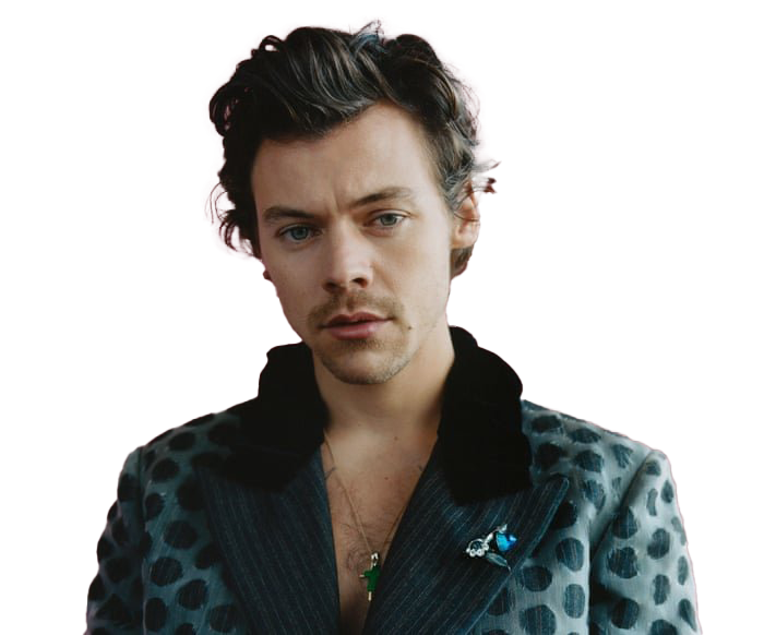 Harry Edward Styles PNG Clipart