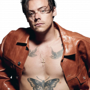 Harry Edward Styles Png Pic