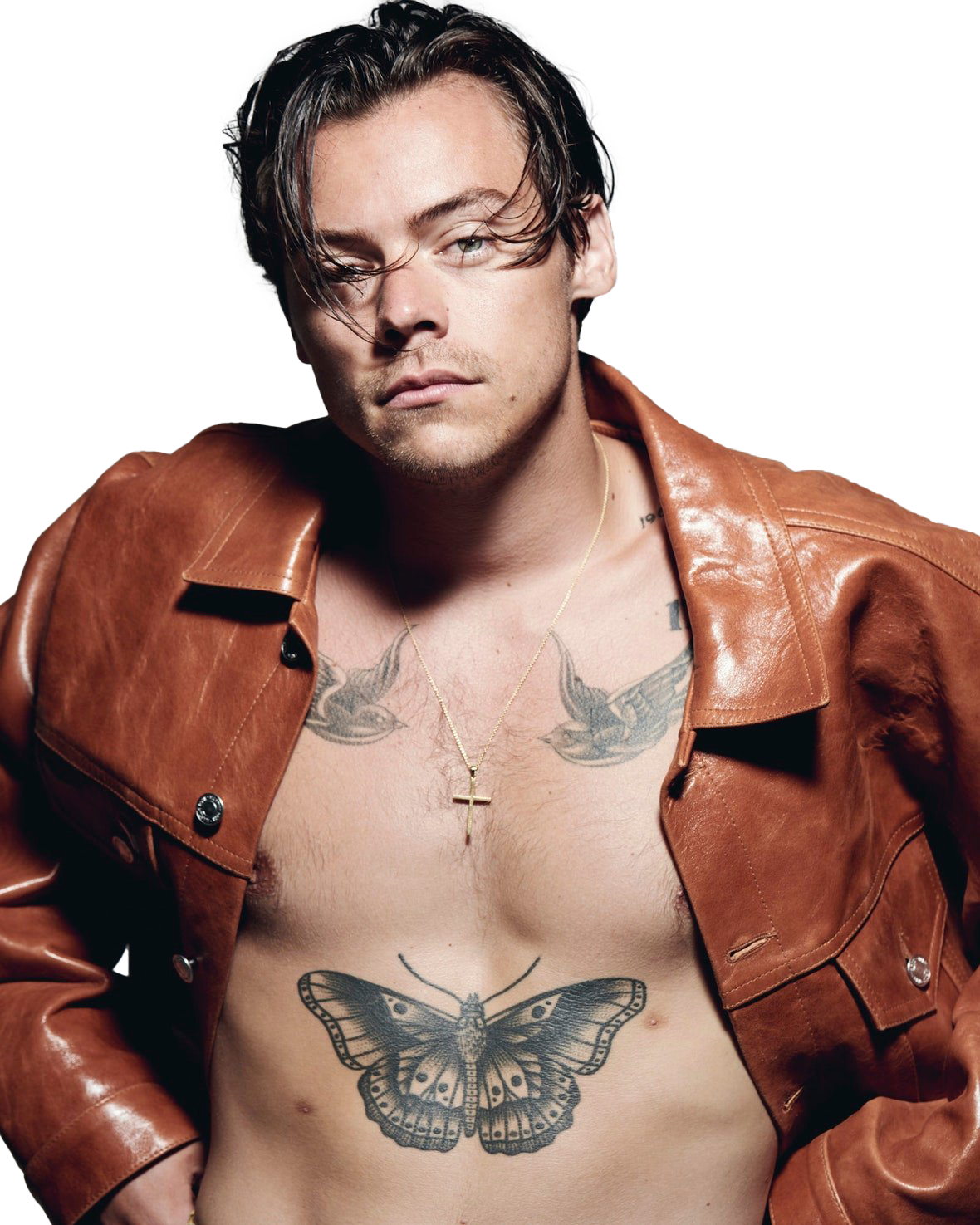 Harry Edward Styles PNG Pic