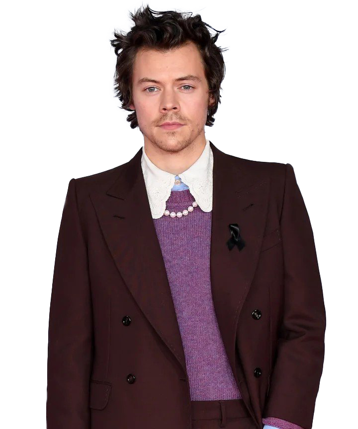 Harry Edward Styles PNG Picture