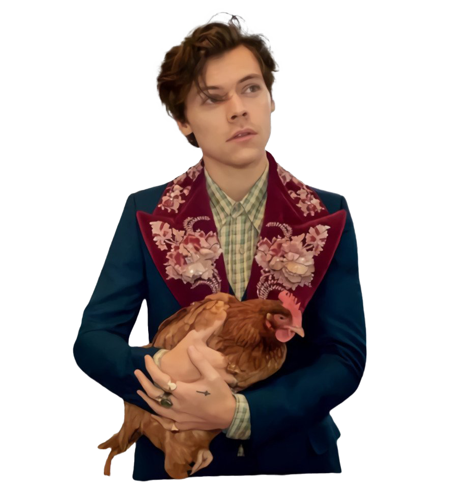 Harry Edward Styles PNG Transparent HD Photo