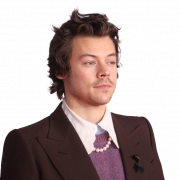 Harry Styles PNG Download Afbeelding