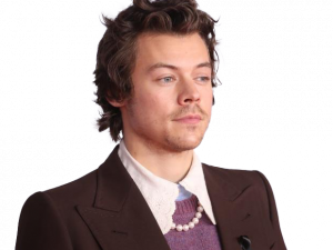 Harry Styles PNG Download Afbeelding