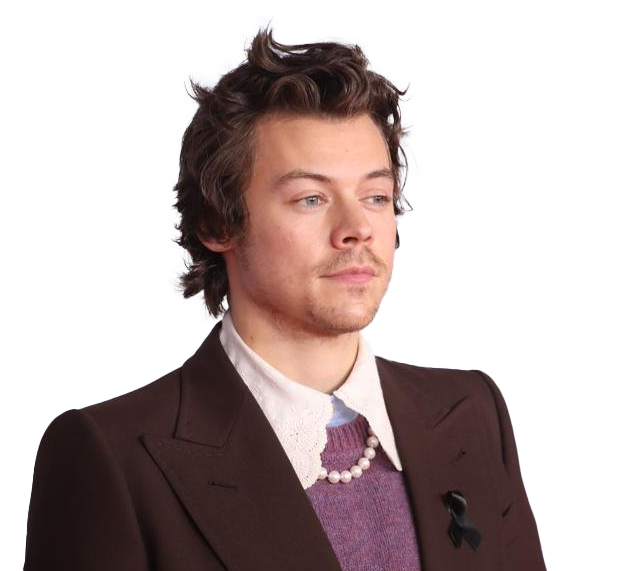Harry Styles PNG Download Image