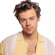 Harry Styles PNG File Download Free