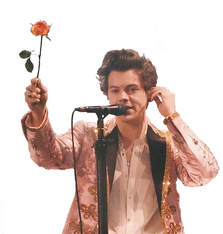 Harry Styles PNG HD Image