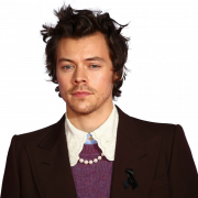 Harry Styles PNG High Quality Image