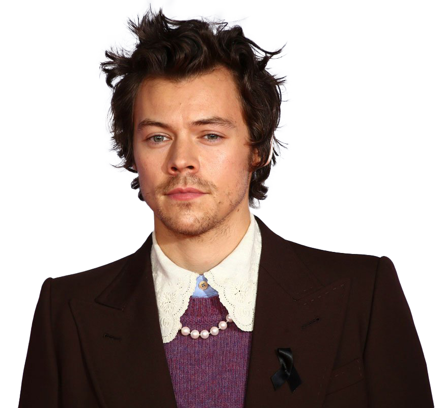 Harry Styles PNG High Quality Image