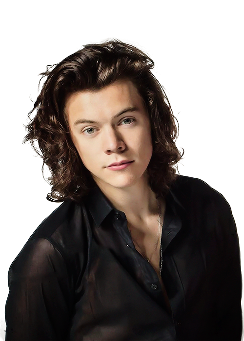 Harry Styles PNG Photo