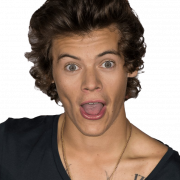 Harry Styles Png Pic
