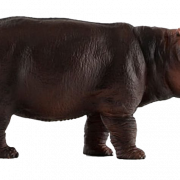 Hippo PNG Free Download