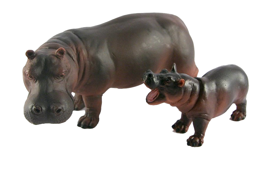 Hippo PNG Image