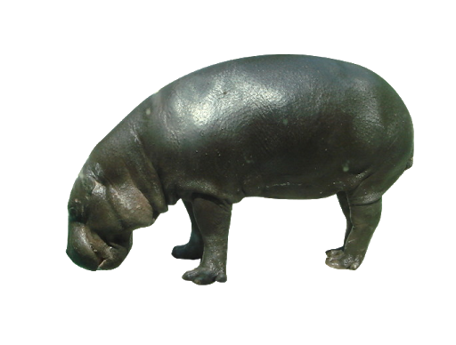 Hippo PNG Photo