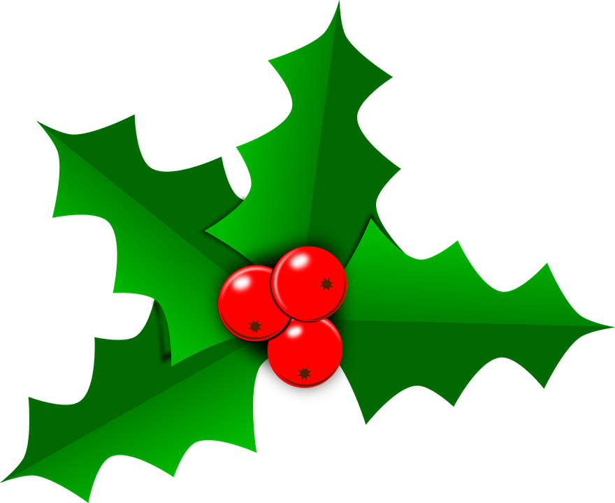 Holly Christmas PNG Free Download