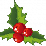 Holly Christmas PNG HD -afbeelding