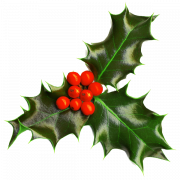 Holly Christmas PNG Picture