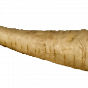 Horseradish PNG Image gratuite
