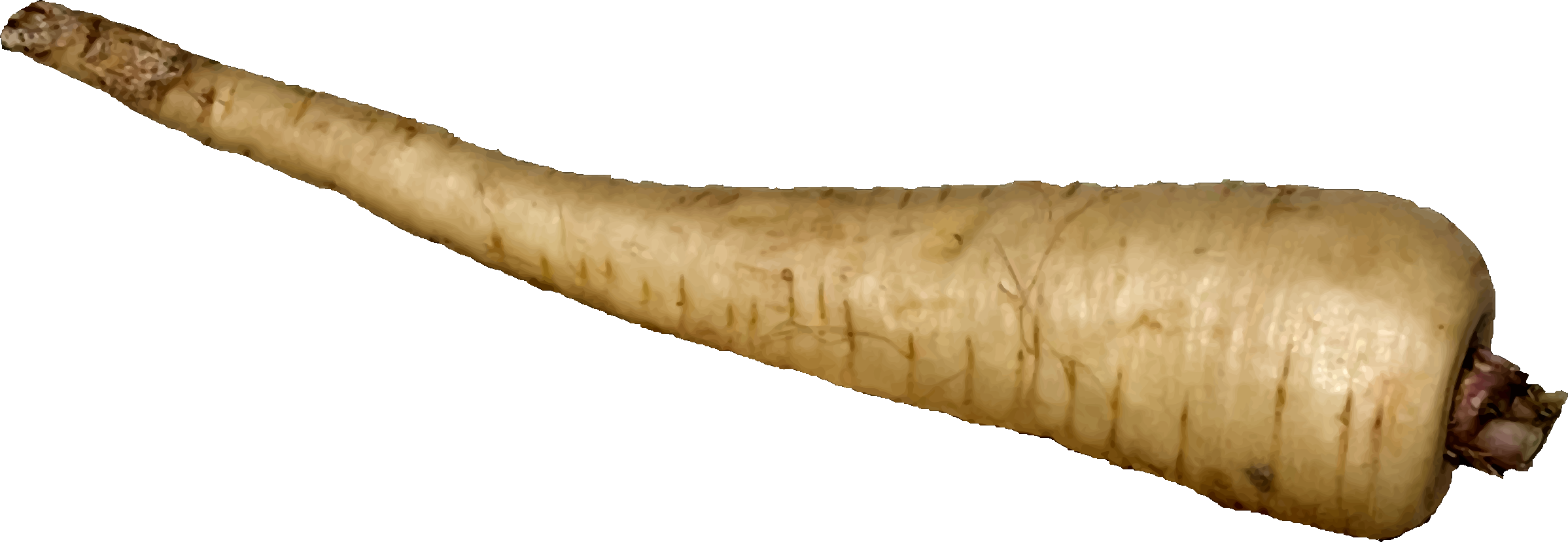 Horseradish PNG Free Image