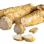 Horseradish PNG Image