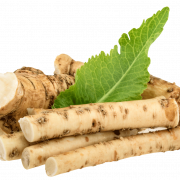 Horseradish PNG Picture