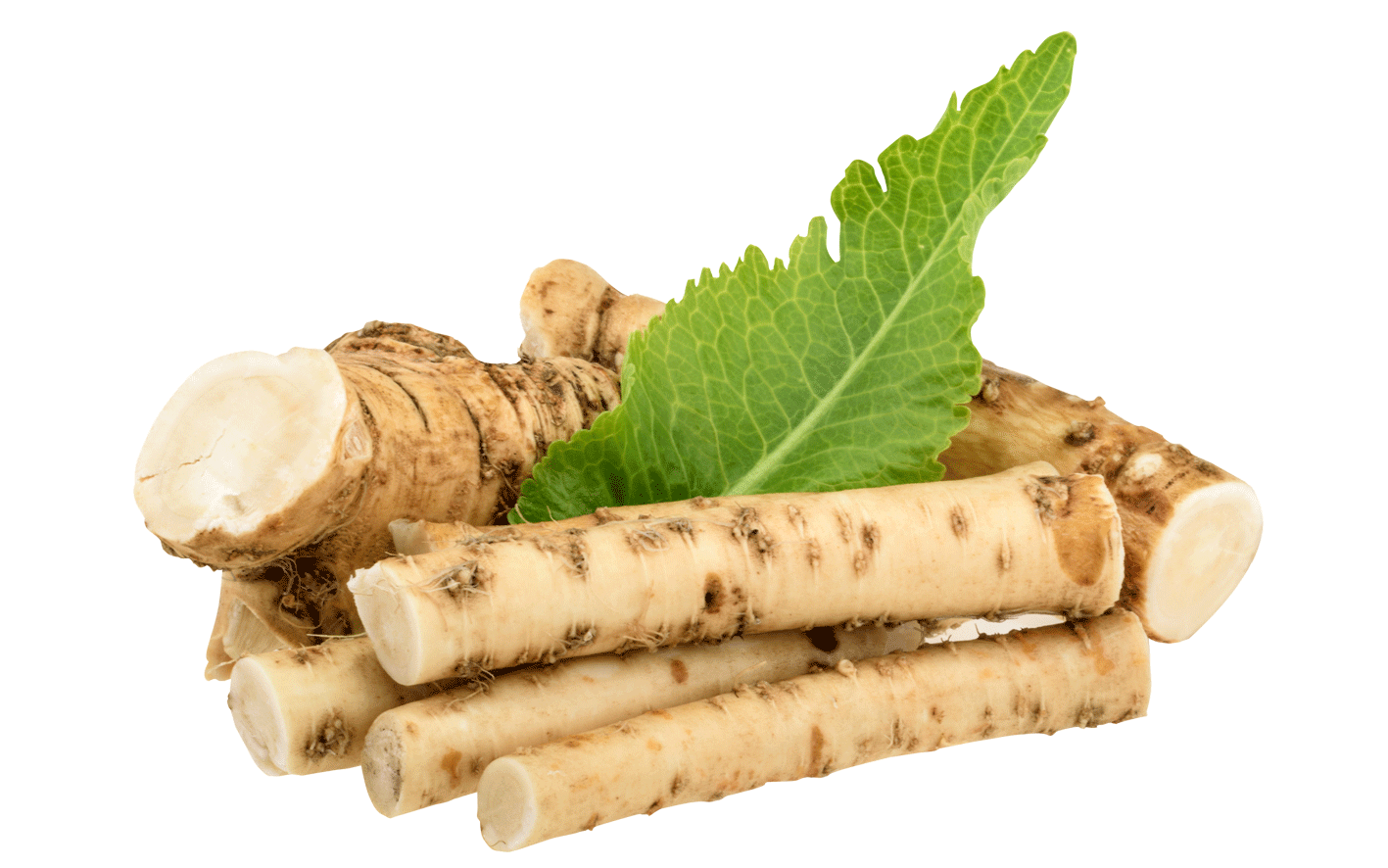 Horseradish PNG Picture