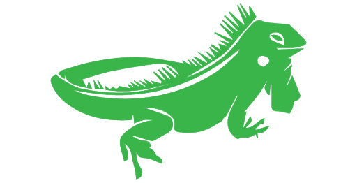 Iguana png