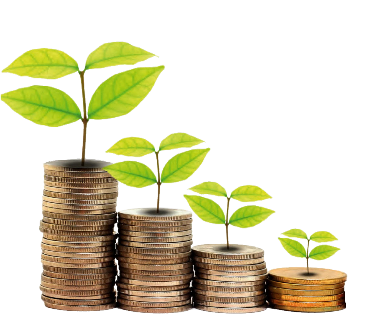Investment PNG HD Image