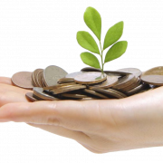 Investment PNG Image File