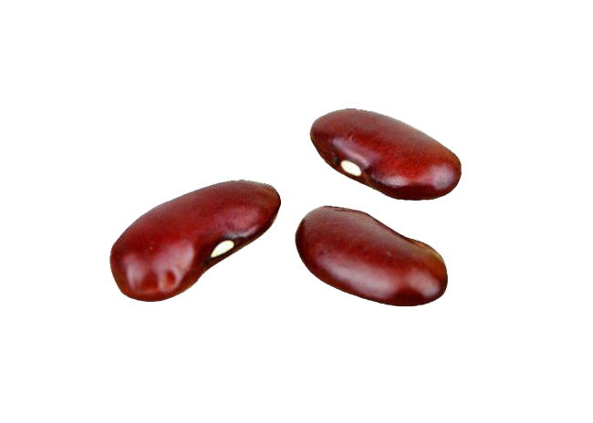 Kidney Beans PNG Clipart