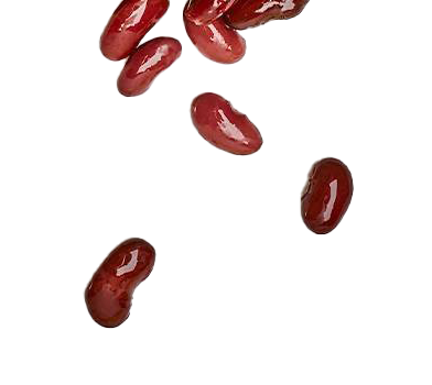 Kidney Beans PNG File Download Free