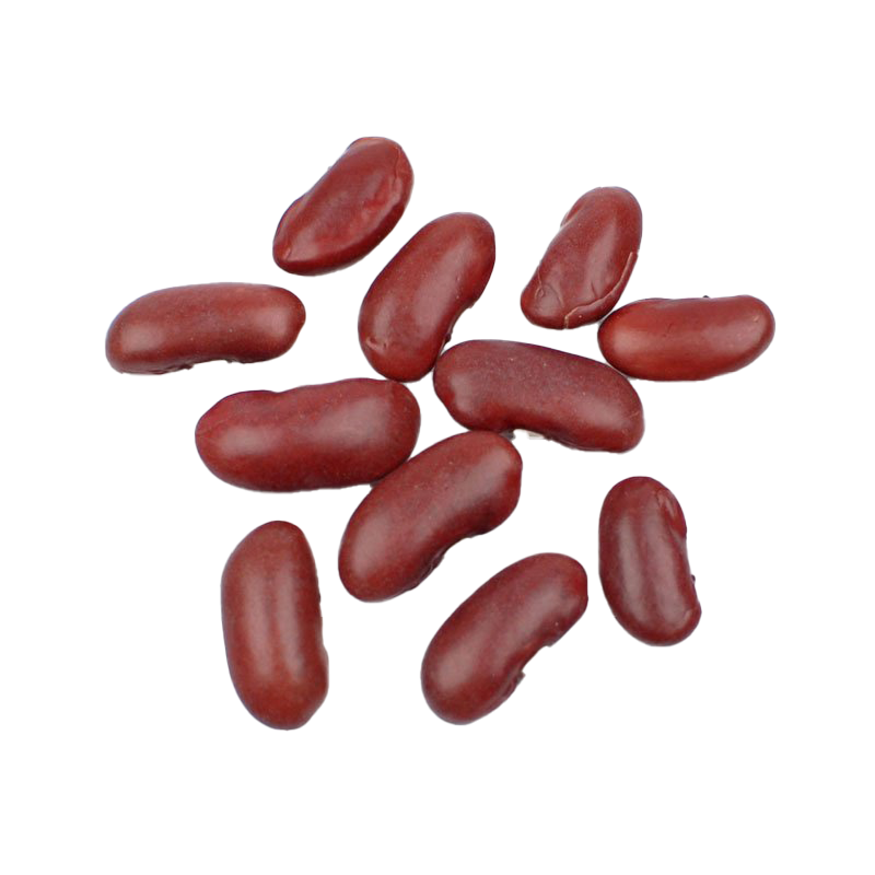 Kidney Beans PNG File