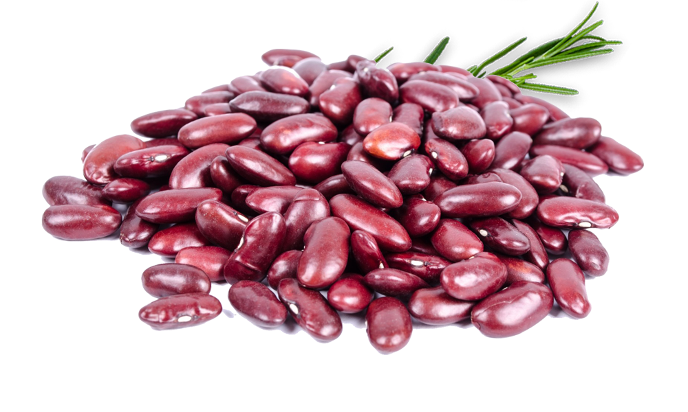Kidney beans png hd imahe